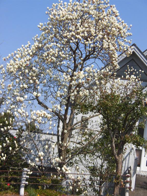 Holiday Home Apple Ito  Luaran gambar